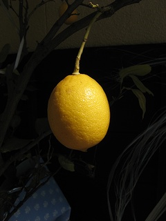 lemon03.jpg
